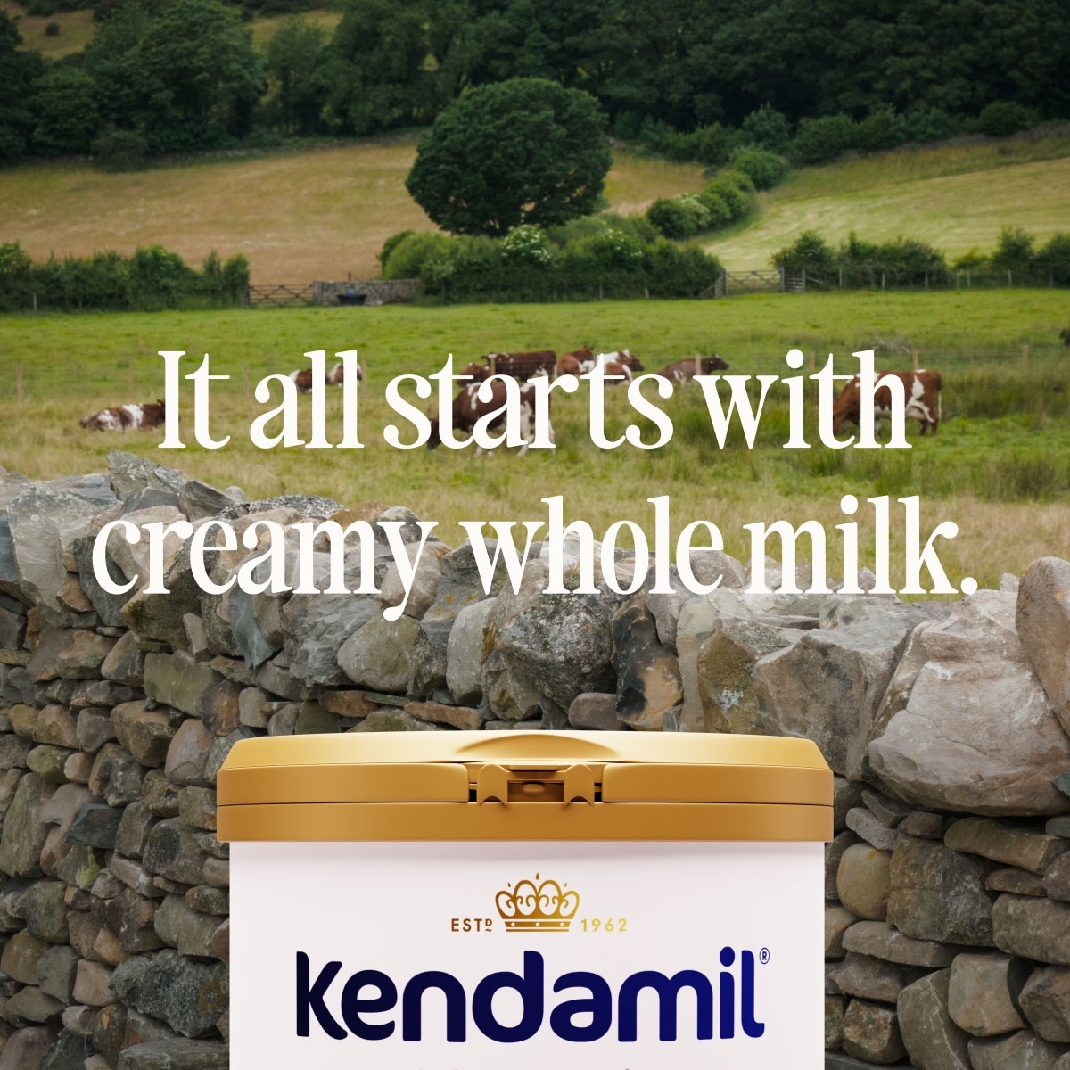 Classic Infant Powder Formula 28.2oz (0-12 months), Classic Infant Powder Formula