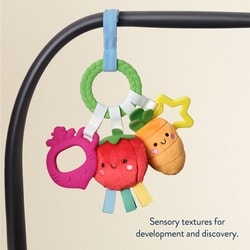 Bitzy Busy Ring™ Veggie 5