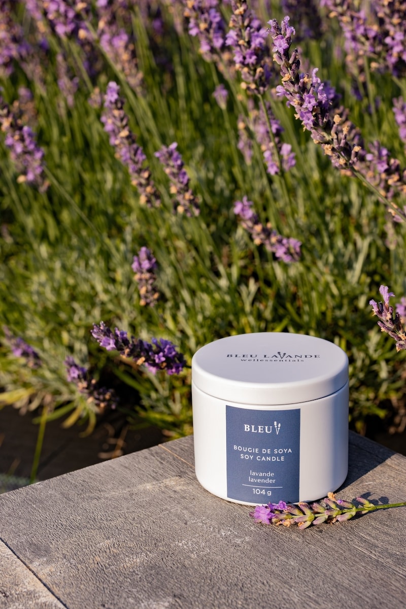 Lavender soy candle