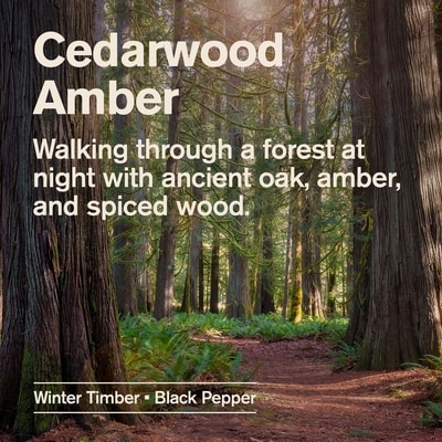 Cedarwood Amber Hydrating Body Wash for Men, Naturally Derived 3