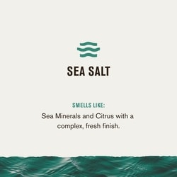 Sel de mer et agrumes Déodorant sans aluminium pour hommes, d'origine naturelle 4