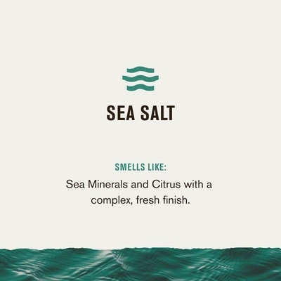 Sel de mer et agrumes Déodorant sans aluminium pour hommes, d'origine naturelle 4