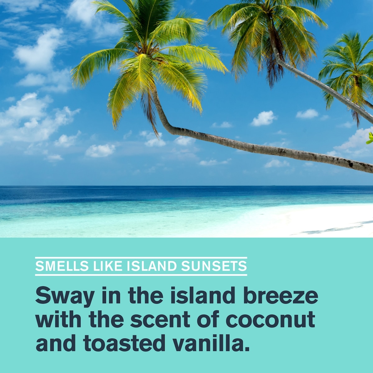 Hydratant Revitalisant Noix De Coconut Des Caraïbes