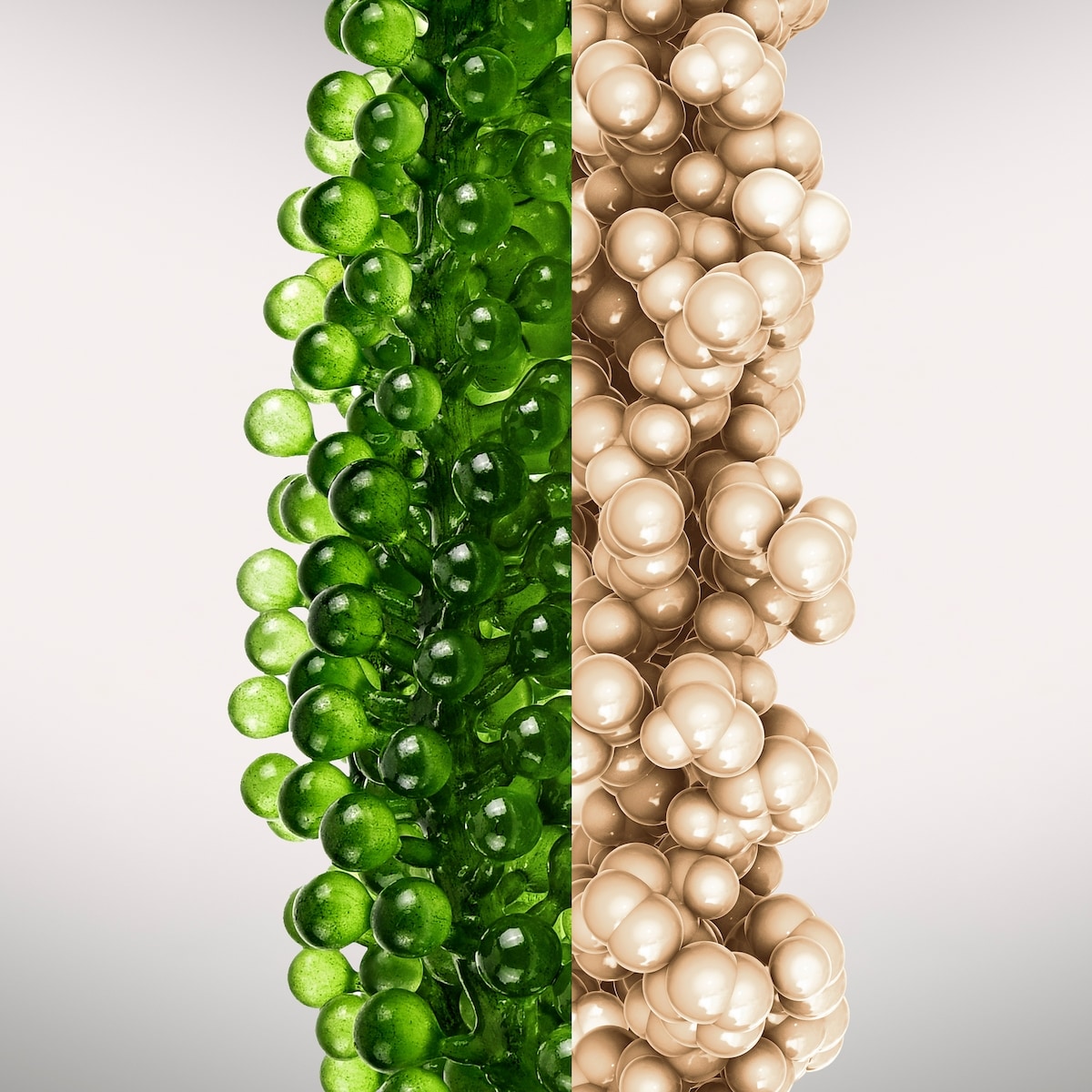 Concentré anti-âge 28 jours Stimulskin Plus