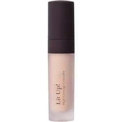Lit Up! High Coverage Concealer 1