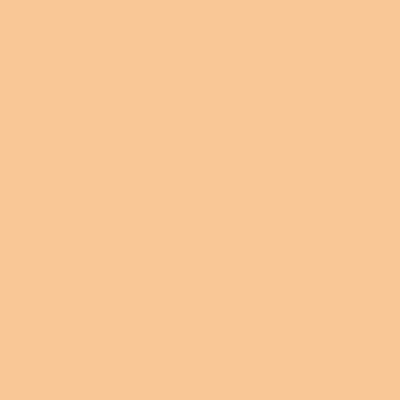 Face Base Oil-Free Powder Foundation 5