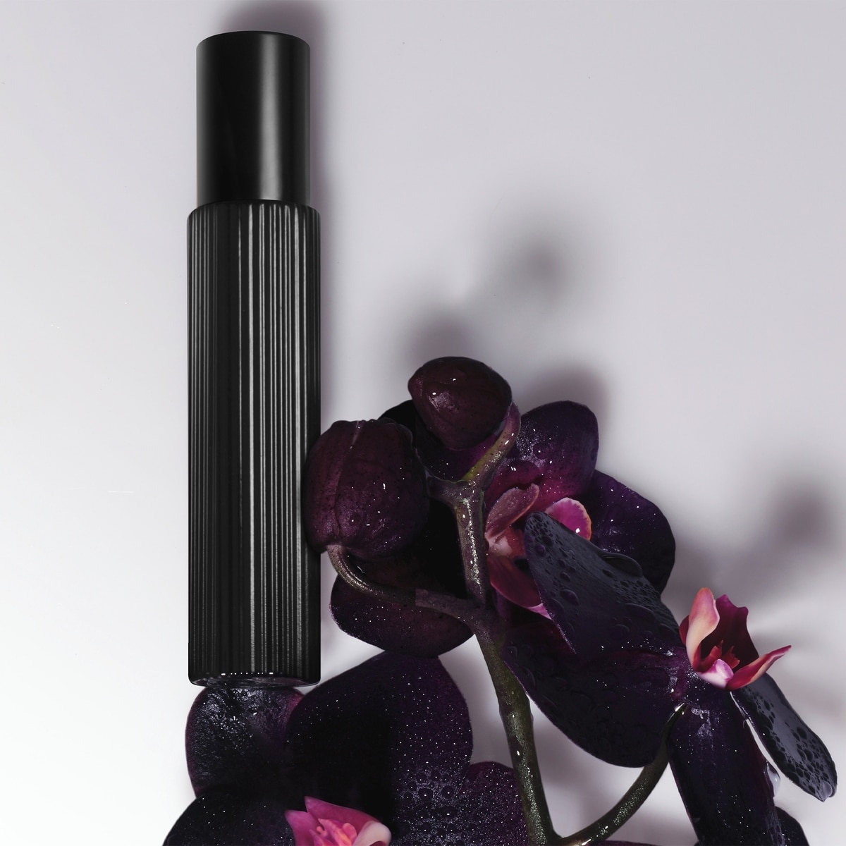Black Orchid EDP 10ml