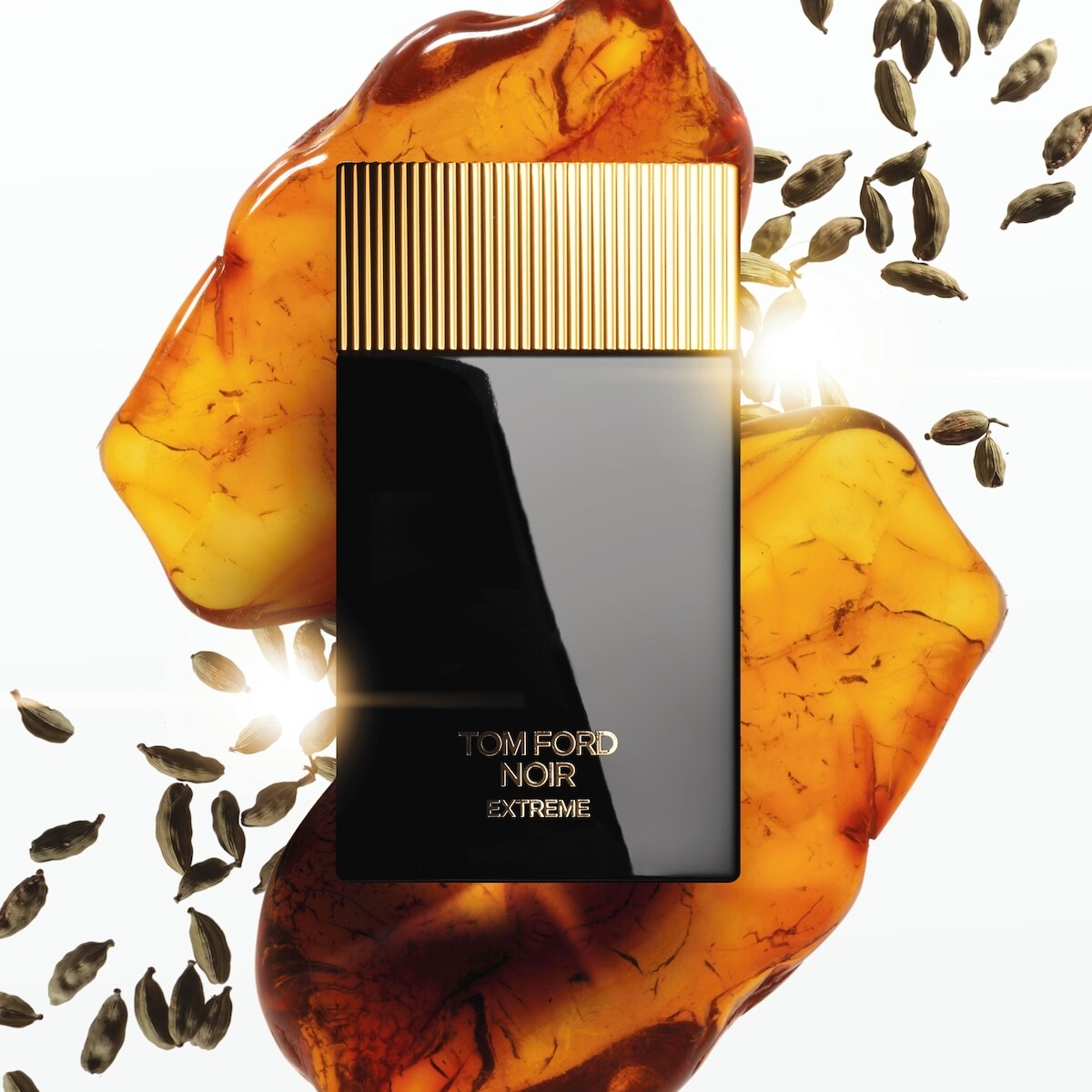 Signature Mini Discovery Set