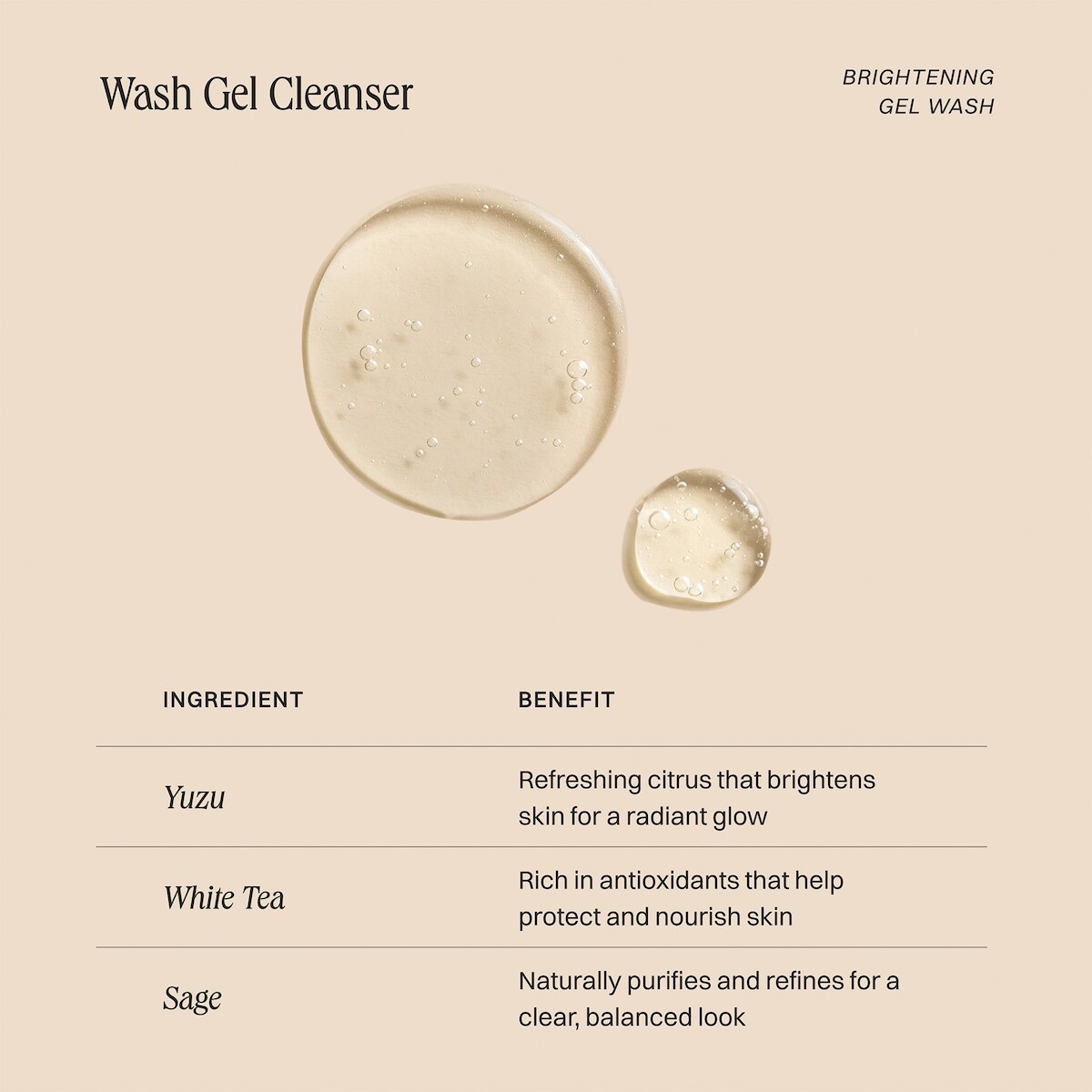 Wash Gel Cleanser