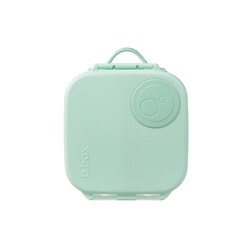 Mini Lunchbox 2