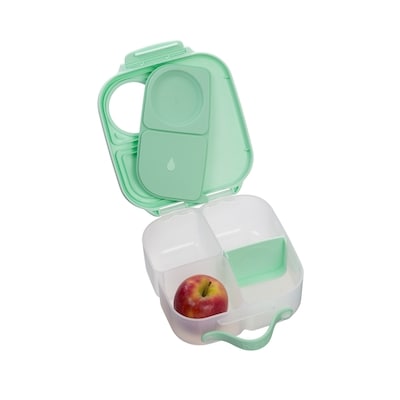 Mini Lunchbox 3