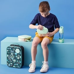 Mini Lunchbox 5