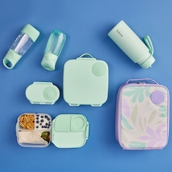 Mini Lunchbox 6
