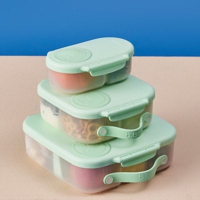 Mini Lunchbox 7